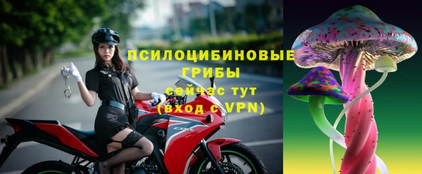 гидра Абинск